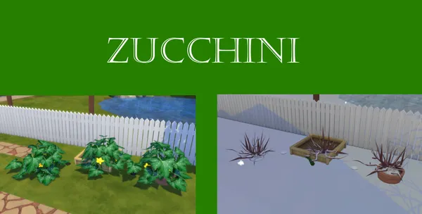 Zucchini Harvestable